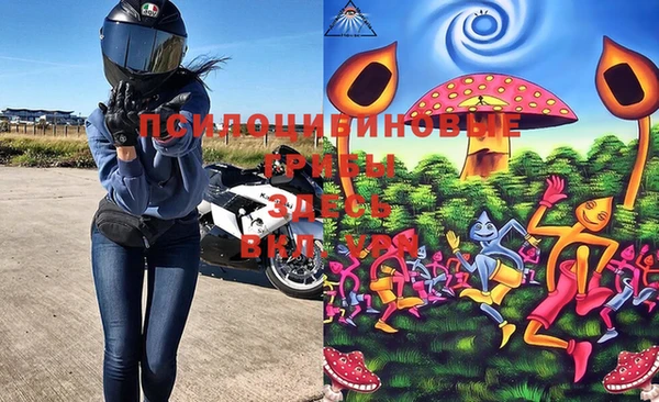 тгк Алзамай