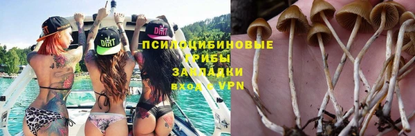 тгк Алзамай