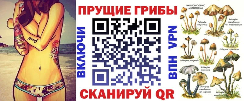 наркотики  Осинники  Галлюциногенные грибы GOLDEN TEACHER 